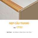 Nẹp nhôm cầu thang CT02