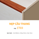 Nẹp nhôm cầu thang CT03